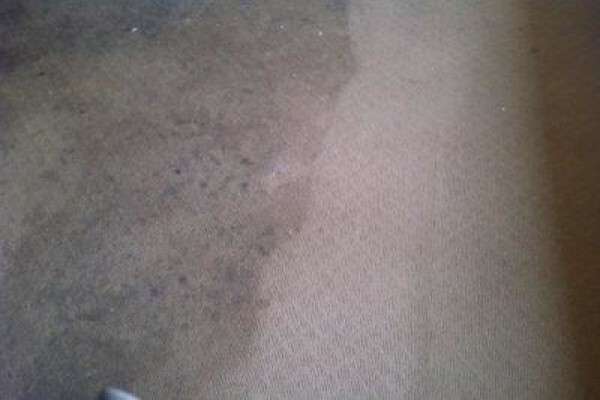 Rugmaster Cleaning Services CC