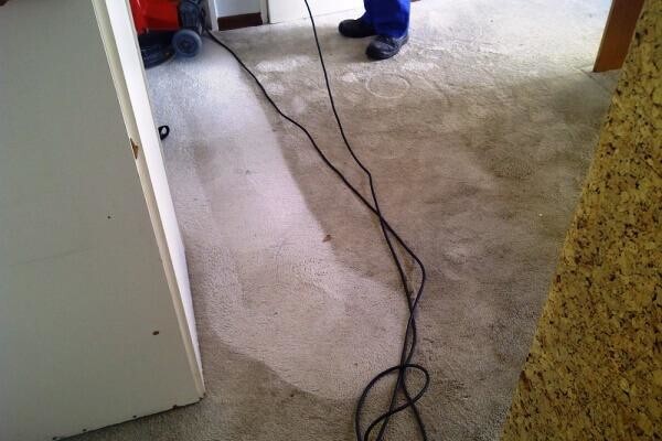 Rugmaster Cleaning Services CC