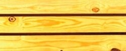 YORK TIMBERS