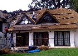 Robbi Thatch Cape