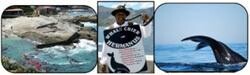 Hermanus Tourism Bureau