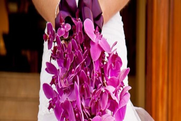 Kleine Marie Florist