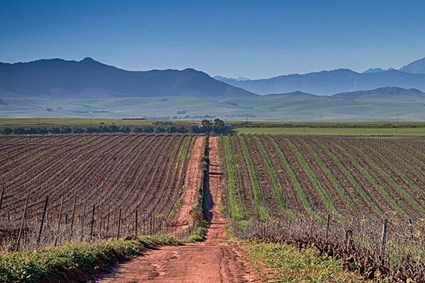 Overhex Private Cellar (Pty) Ltd