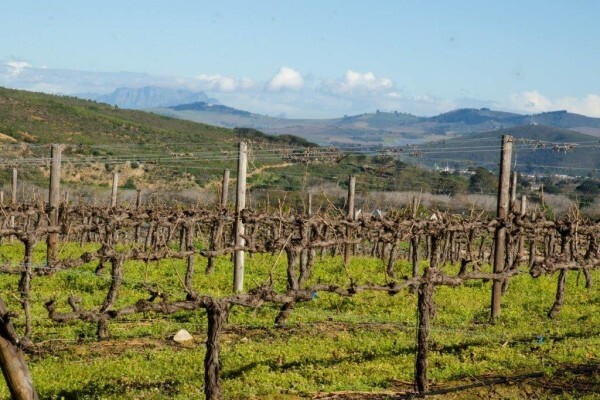 RUDERA WINES CC