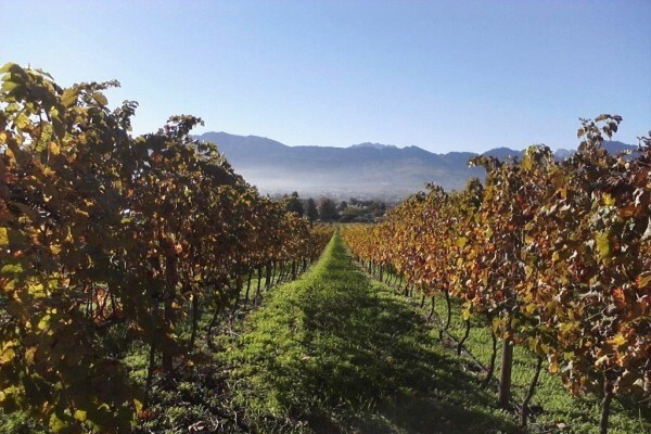 RUDERA WINES CC