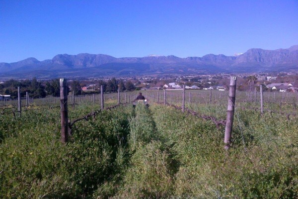 RUDERA WINES CC