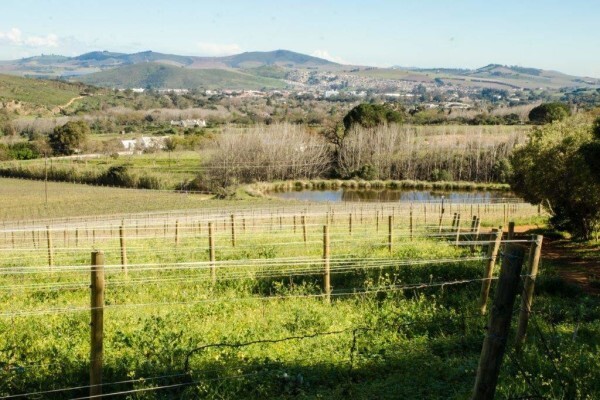 RUDERA WINES CC