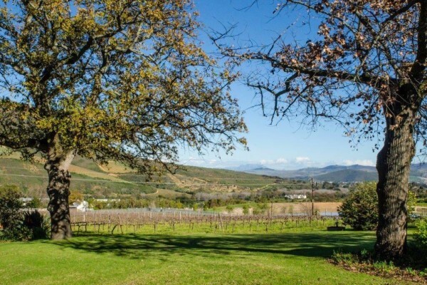 RUDERA WINES CC