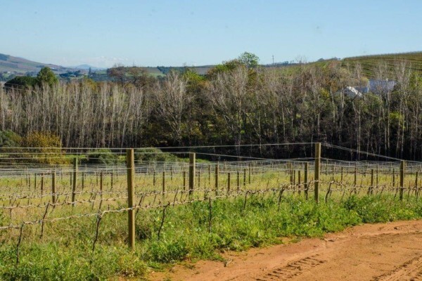 RUDERA WINES CC