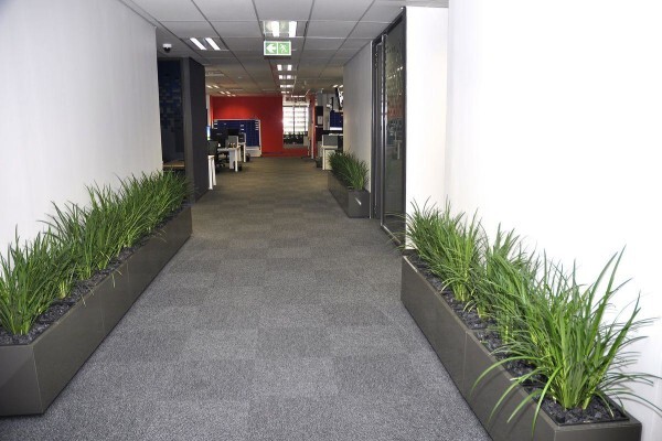 Execuflora (Pty) Ltd