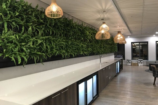 Execuflora (Pty) Ltd