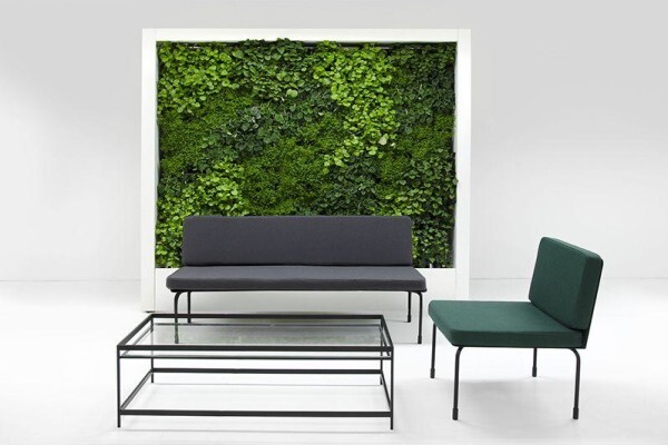 Execuflora (Pty) Ltd