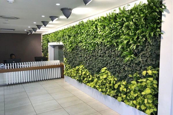 Execuflora (Pty) Ltd