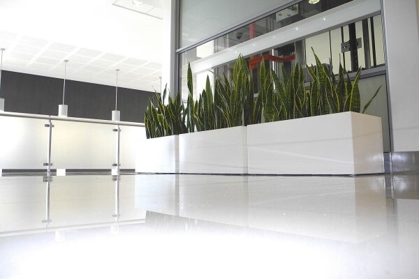Execuflora (Pty) Ltd