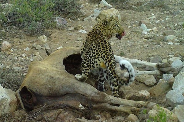 Bosch Luys Kloof Natuurreservaat