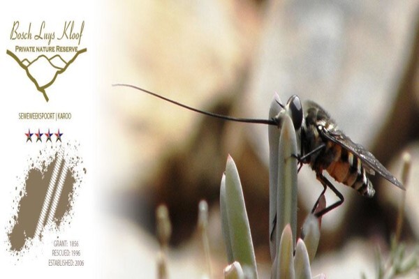 Bosch Luys Kloof Natuurreservaat
