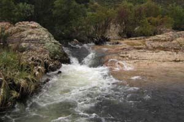 Bolandenviro Environmental Consultants