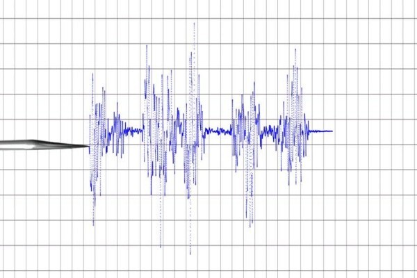 INTEGRA POLYGRAPH SOLUTIONS