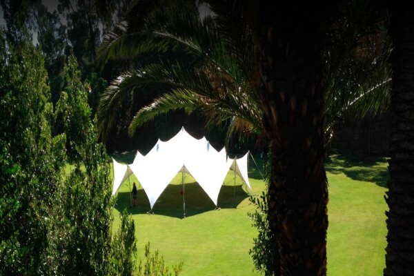 Freeform Stretch Tents