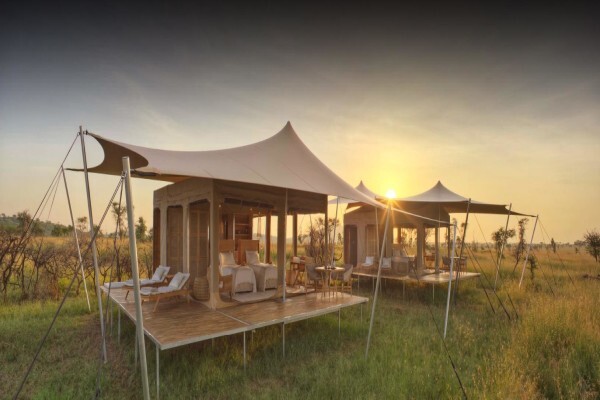 Freeform Stretch Tents
