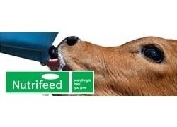 Lionel's Veterinary Supplies (Pty) Ltd