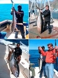 Classic Cape Charters