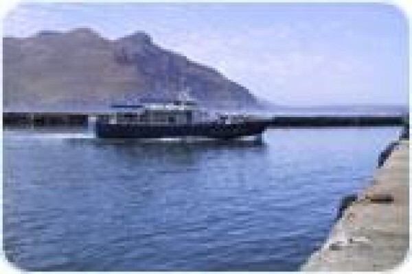 Circe Launches