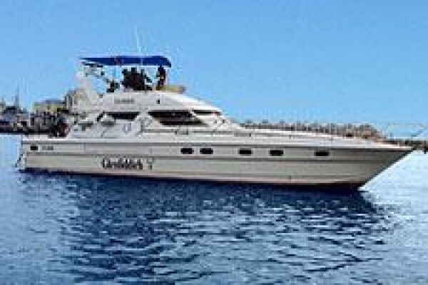 Classic Cape Charters