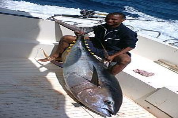 Classic Cape Charters