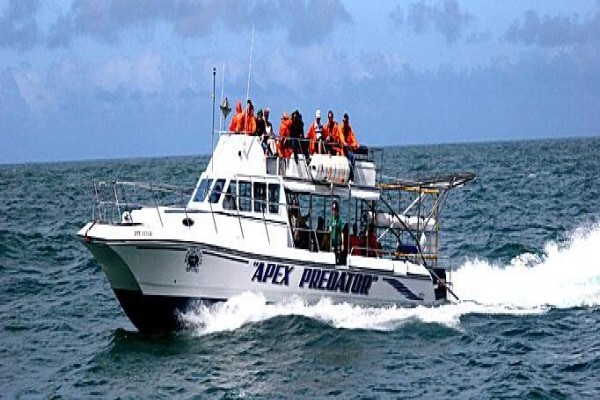 Classic Cape Charters
