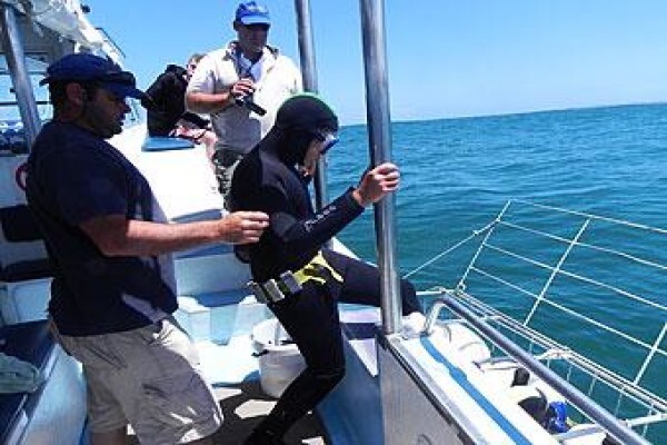 Classic Cape Charters