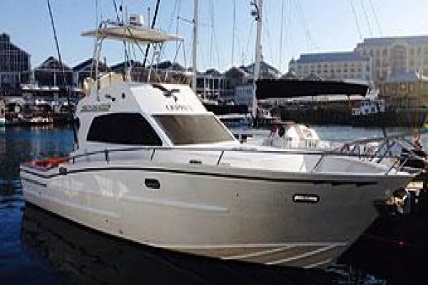 Classic Cape Charters
