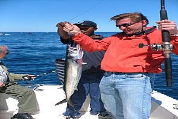 Classic Cape Charters