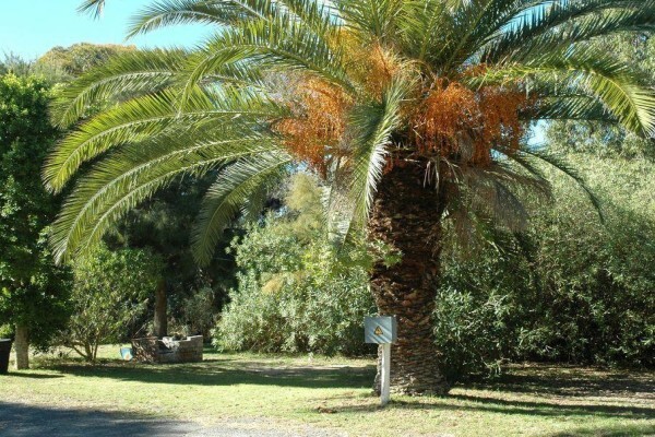 Ou Skip Holiday Resort