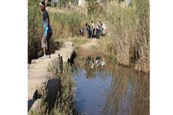 Enviromental Affairs & Marine Living Joint Venture