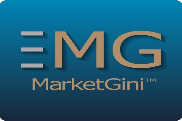 EFFECTIVE INTELLIGENCE (EDMS) BPK