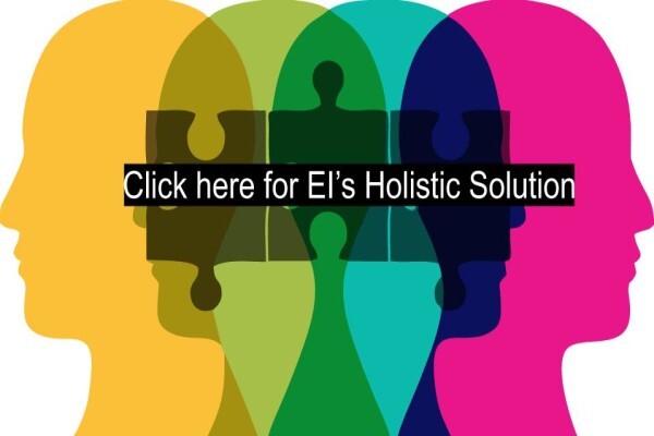 EFFECTIVE INTELLIGENCE (EDMS) BPK