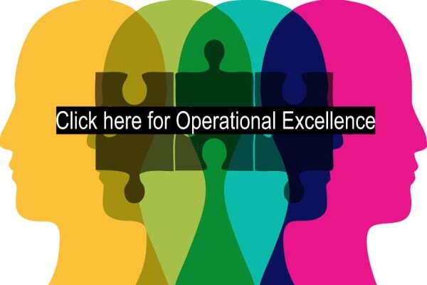 EFFECTIVE INTELLIGENCE (EDMS) BPK