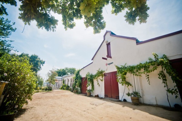 OVERGAAUW WINE ESTATE