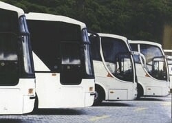 Ikapa Tours & Travel