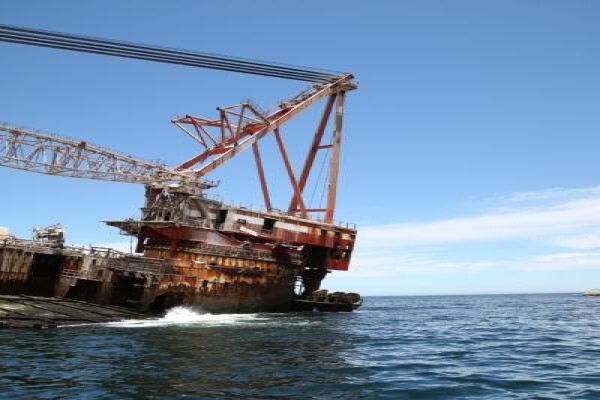 Seal Island & Shipwreck Cruises