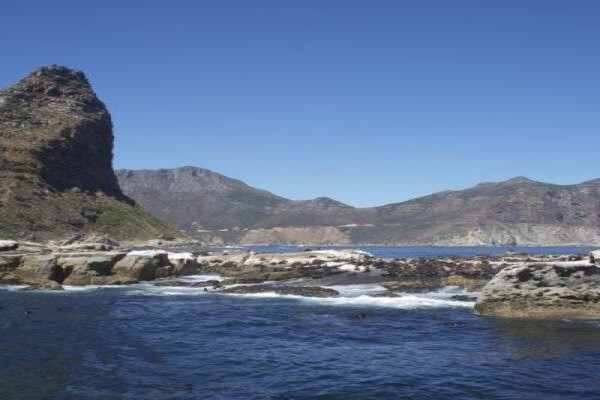 Seal Island & Shipwreck Cruises