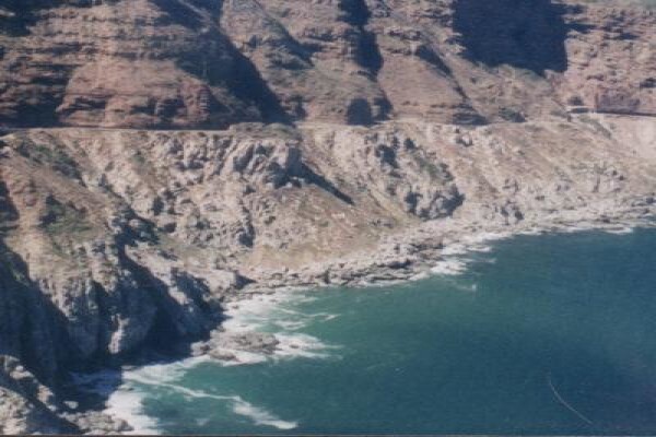 Seal Island & Shipwreck Cruises