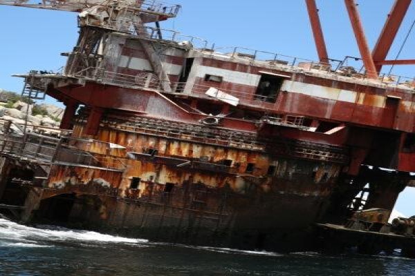 Seal Island & Shipwreck Cruises