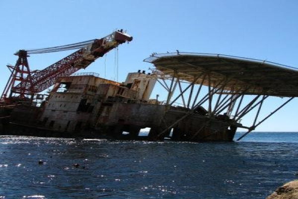Seal Island & Shipwreck Cruises