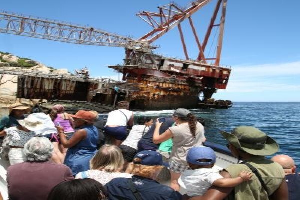 Seal Island & Shipwreck Cruises