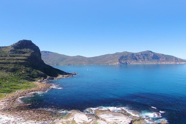 Seal Island & Shipwreck Cruises
