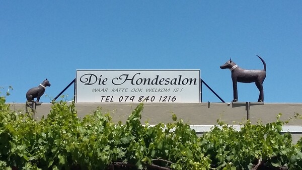 Honde Salon