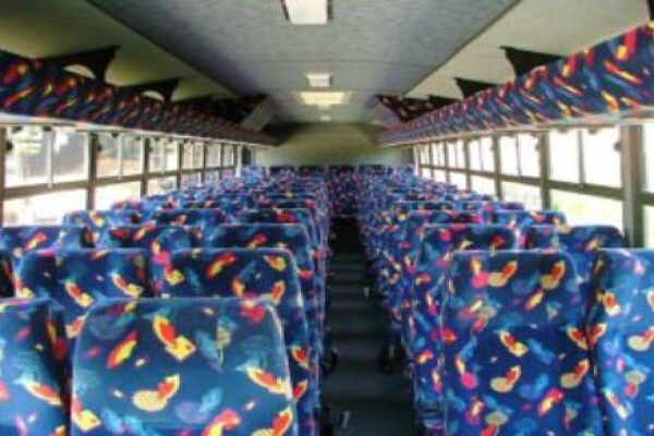 Coachman