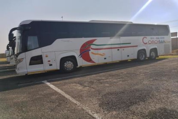 Coachman
